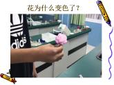 人教版初中化学九下10.1.1 酸、碱与指示剂作用 课件