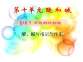 人教版初中化学九下10.1.1 酸、碱与指示剂作用 课件