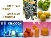 人教版初中化学九下10.1.1 酸、碱与指示剂作用 课件