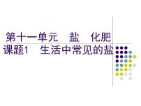 化学九年级下册课题1 生活中常见的盐示范课ppt课件