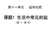 人教版九年级下册课题1 生活中常见的盐课堂教学课件ppt