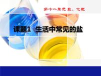 人教版九年级下册第十一单元  盐  化肥课题1 生活中常见的盐图片课件ppt