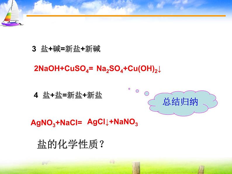 人教版初中化学九下11.1 生活中常见的盐 -盐的化学性质和离子的鉴定课件06