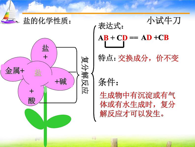 人教版初中化学九下11.1 生活中常见的盐 -盐的化学性质和离子的鉴定课件第7页