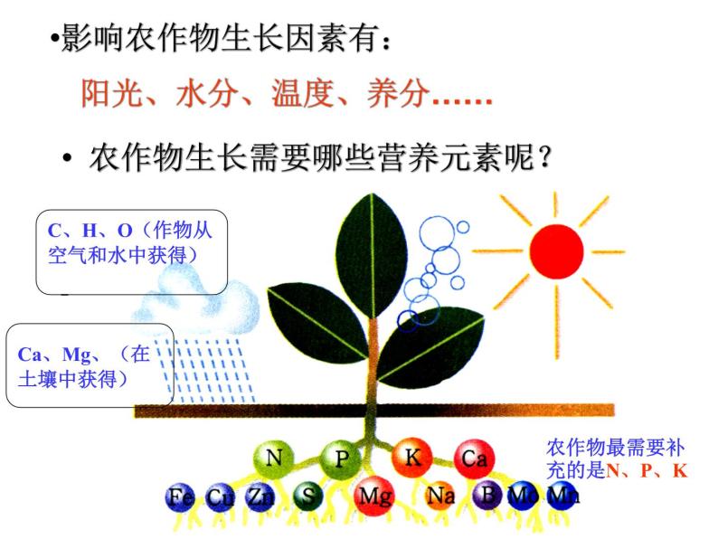 人教版初中化学九下11.2 化学肥料 化肥的种类和作用 课件02