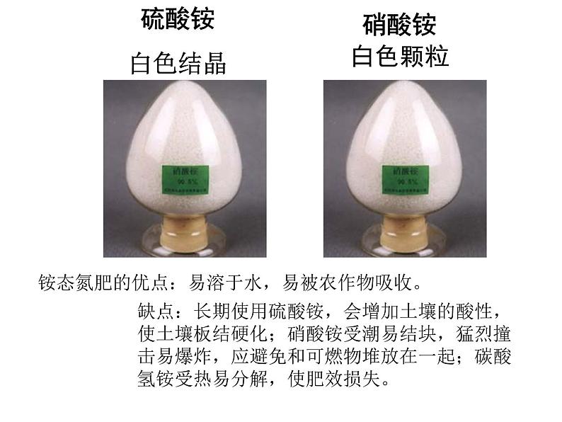 人教版初中化学九下11.2 化学肥料 课件 (2)05