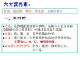 人教版初中化学九下12.1 人类重要的营养物质 课件
