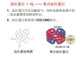 人教版初中化学九下12.1 人类重要的营养物质 课件