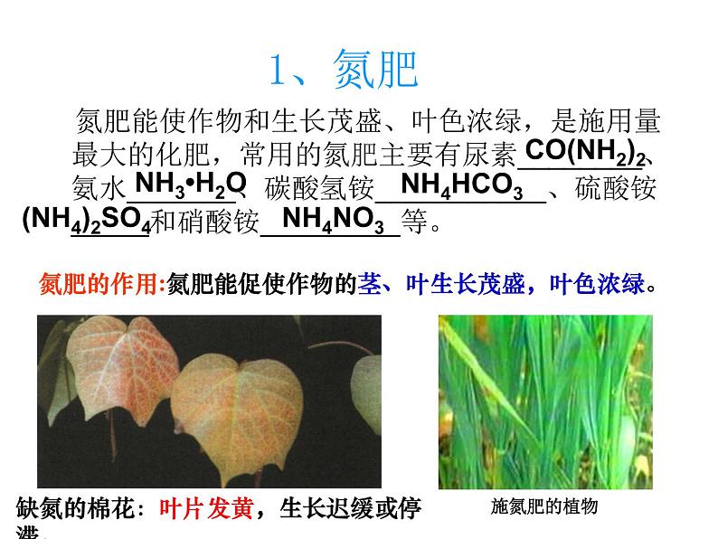 人教版初中化学九下11.2 化学肥料 课件   (1)06