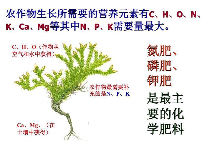 人教版初中化学九下11.2 化学肥料 课件   (4)04