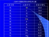 人教版初中化学九下12.2 化学元素与人体健康 课件  (2)
