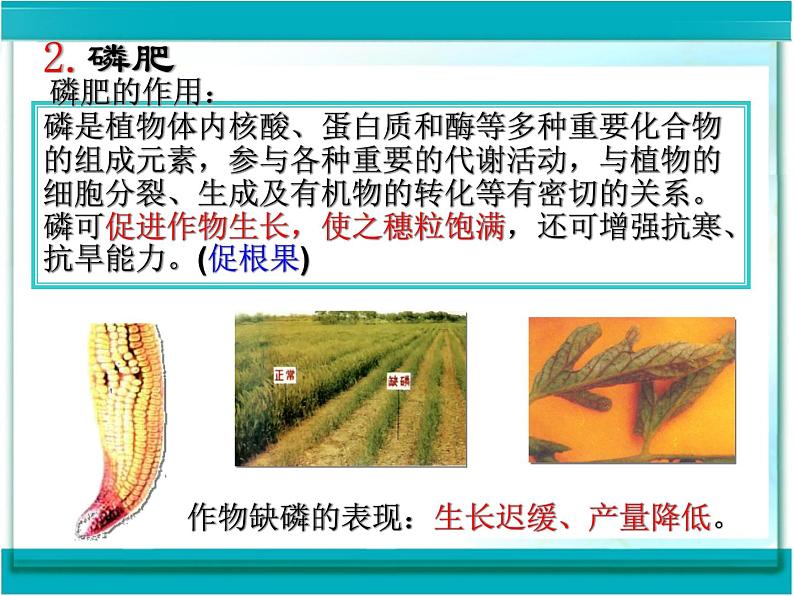 人教版初中化学九下11.2 化学肥料 课件07