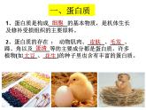 人教版初中化学九下12.1 人类重要的营养物质 课件  (2)