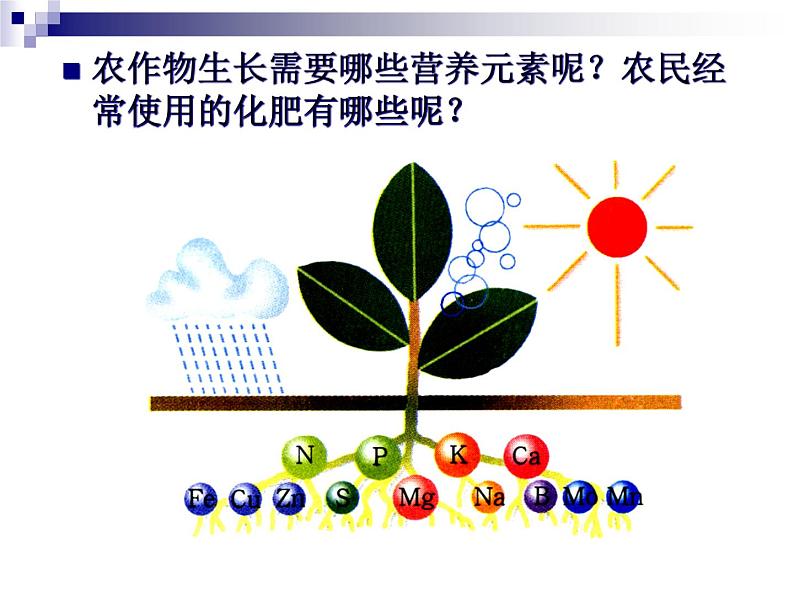 人教版初中化学九下11.2 化学肥料 课件02