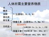 人教版初中化学九下12.2 化学元素与人体健康 课件 (2)