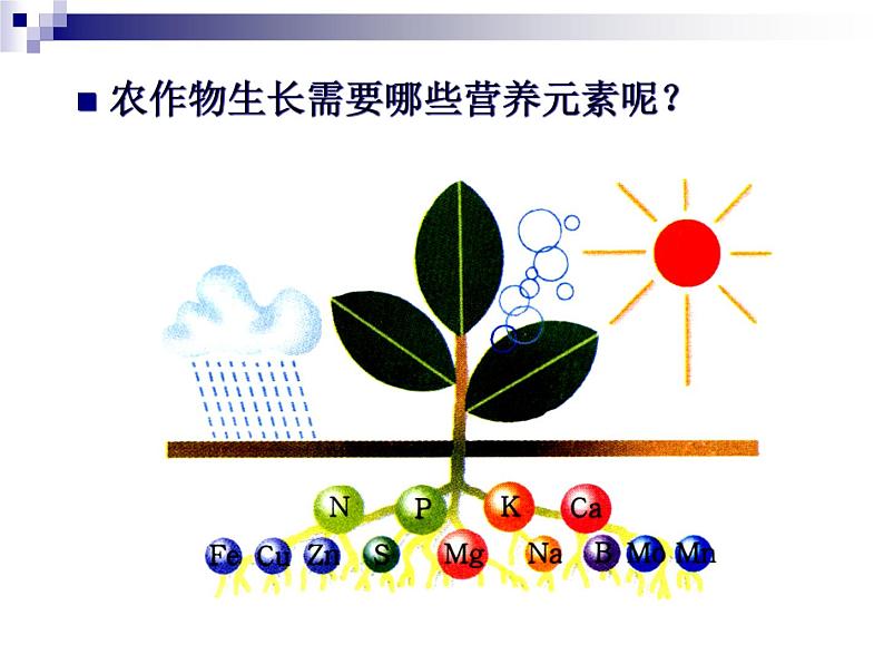 人教版初中化学九下11.2 化学肥料 第一课时 课件03