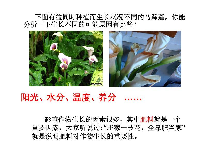 人教版初中化学九下11.2 化学肥料 课件   (3)03