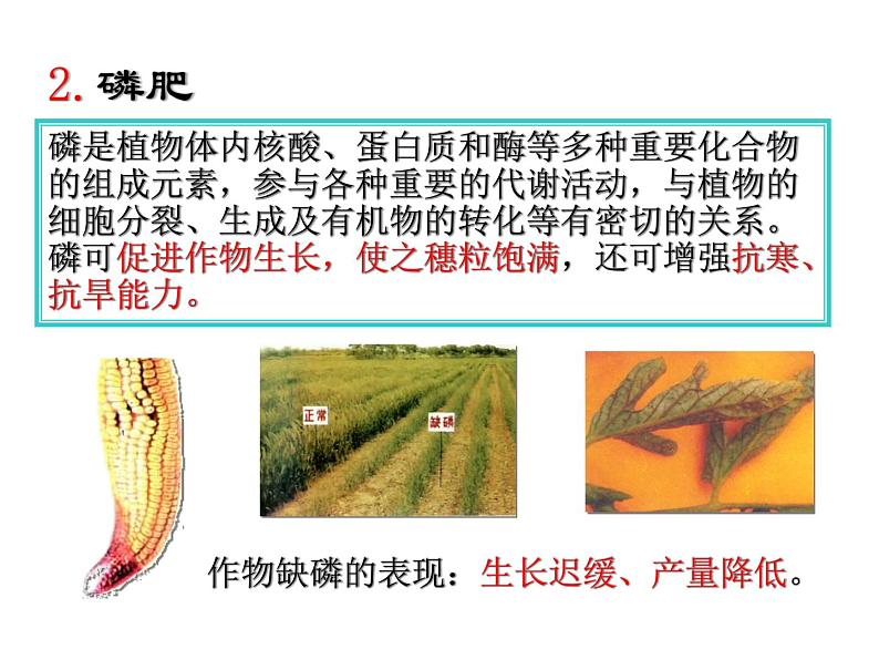 人教版初中化学九下11.2 化学肥料 课件   (3)08