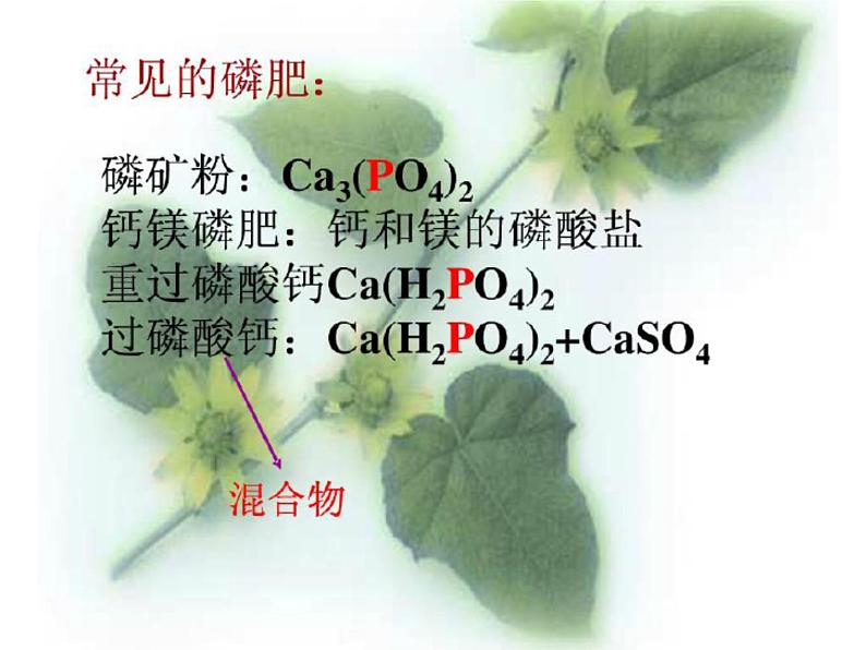 人教版初中化学九下11.2 化学肥料 课件  (1)08