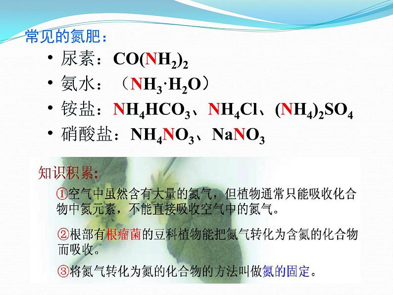 人教版初中化学九下11.2 化学肥料 课件 (1)05