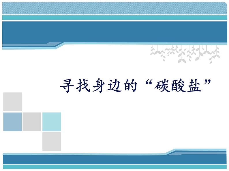 人教版初中化学九下11.1 生活中常见的盐 寻找身边的“碳酸盐”课件01