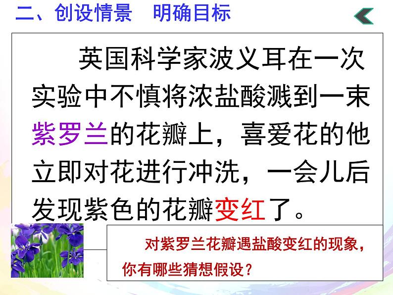 人教版化学九年级 第十单元  实验活动7  溶液酸碱性的检验   课件05