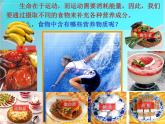 人教版化学九下12.1 人类重要的营养物质 课件 (1)