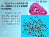 人教版化学九下12.1 人类重要的营养物质 课件 (1)