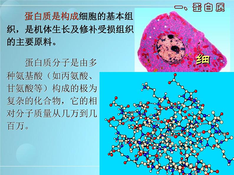 人教版化学九下12.1 人类重要的营养物质 课件 (1)第4页