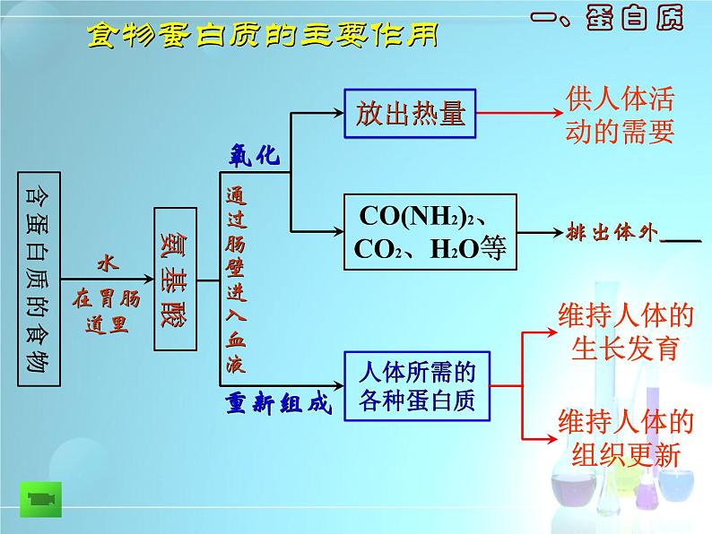 人教版化学九下12.1 人类重要的营养物质 课件 (1)第7页