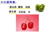 人教版化学九下12.1 人类重要的营养物质 课堂教学课件