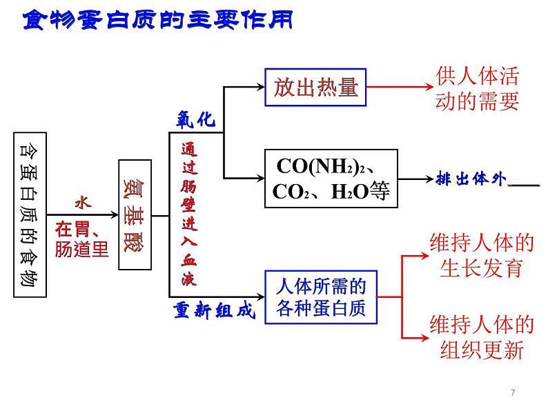 人教版化学九下12.1 人类重要的营养物质 课堂教学课件第7页