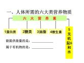 人教版化学九下第12章《化学与生活》复习课件