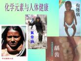 人教版九年级化学12.2化学元素与人体健康课件