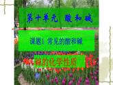 人教版九年级化学下册：10 实验活动6  酸、碱的化学性质  课件（共16张PPT）