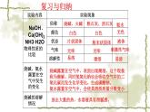 人教版九年级化学下册：10 实验活动6  酸、碱的化学性质  课件（共16张PPT）