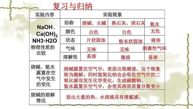 人教版九年级化学下册：10 实验活动6  酸、碱的化学性质  课件（共16张PPT）02