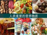 人教版九年级是下册12 .1  人类重要的营养物质   课件