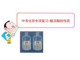 中考化学专项复习-酸及酸的性质 课件