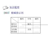 中考化学专项复习-酸及酸的性质 课件