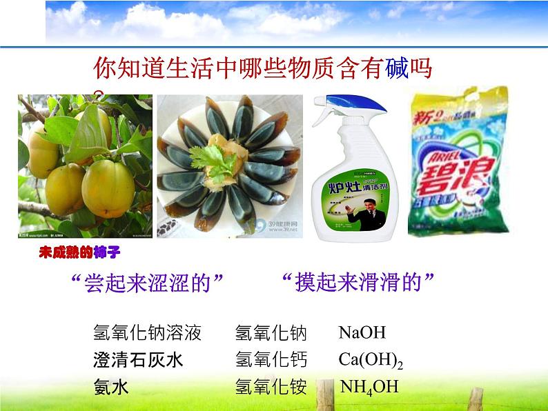 人教版九年级化学 第九单元 课题3  酸、碱与指示剂的作用 课件 (共共19张ppt+视频)02