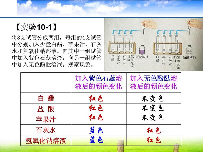 人教版九年级化学 第九单元 课题3  酸、碱与指示剂的作用 课件 (共共19张ppt+视频)04