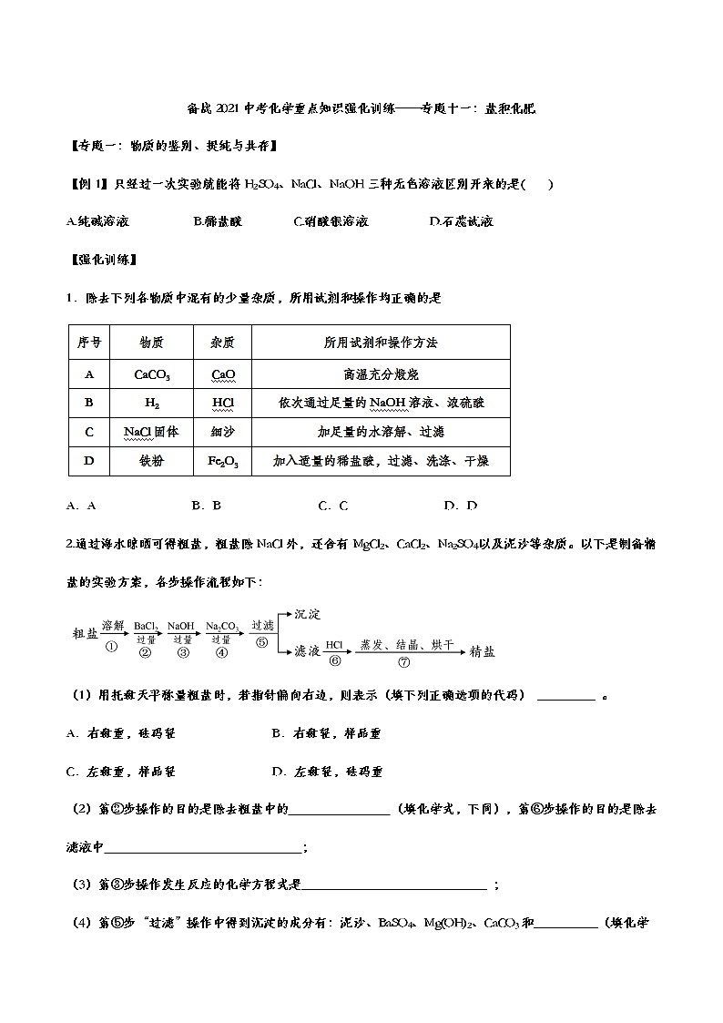 备战2021中考化学重点知识强化训练 专题十一 盐和化肥01