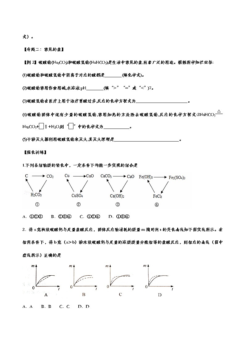 备战2021中考化学重点知识强化训练 专题十一 盐和化肥02