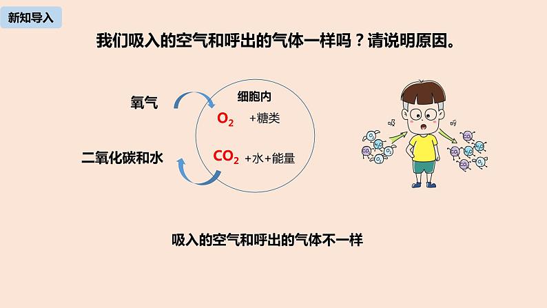 初中化学人教版九年级（上册）第1单元 课题2 化学是一门以实验为基础的科学课件（第二课时）04