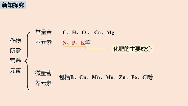 初中化学人教版九年级（下册）第11单元 课题2 化学肥料（第一课时）课件07