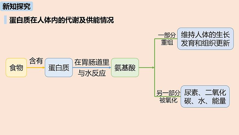 初中化学人教版九年级（下册）第12单元 课题1 人类重要的营养物质课件07