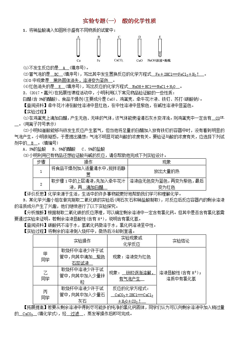 2021年人教版九年级化学下册第10单元 实验专题一酸的化学性质 同步测试(含答案)第1页