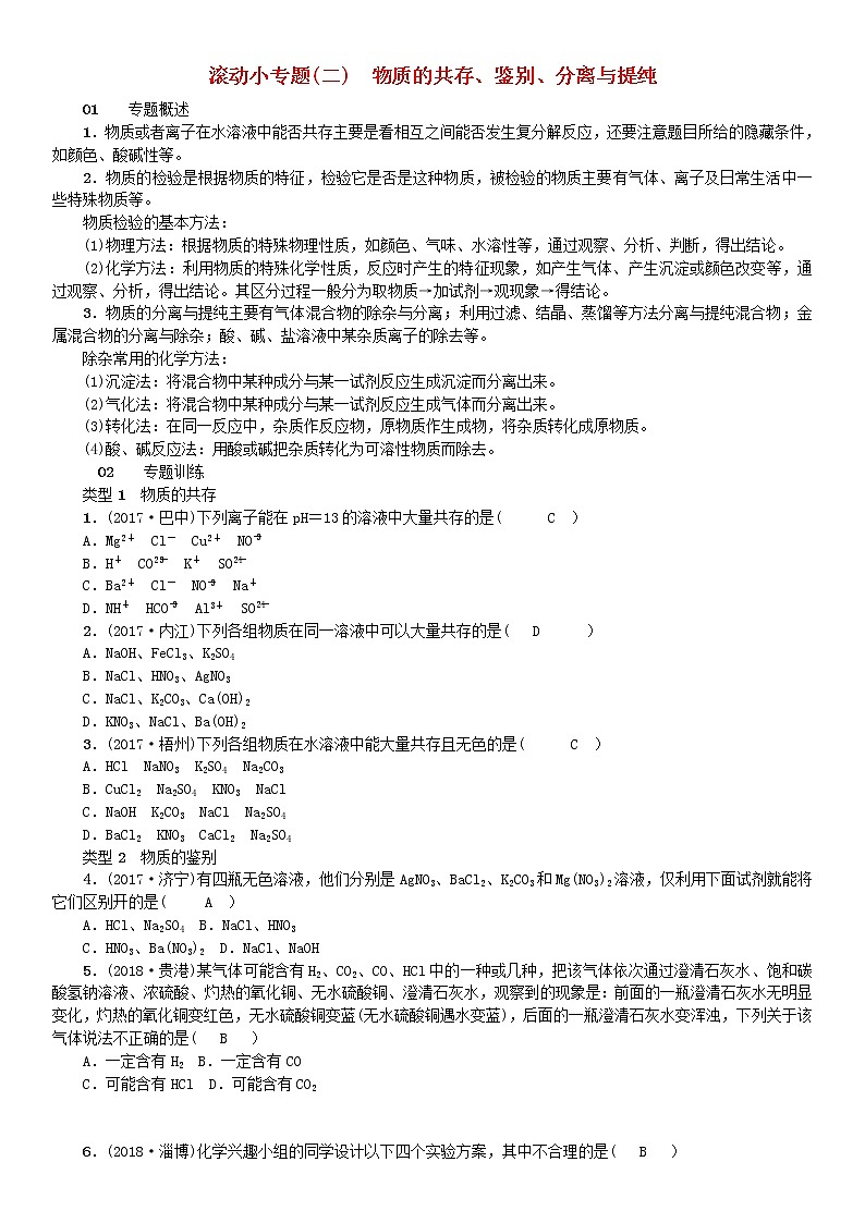 2021年鲁教版九年级化学下册第8单元 海水中的化学滚动小专题二物质的共存鉴别分离与提纯 同步测试(含答案)01