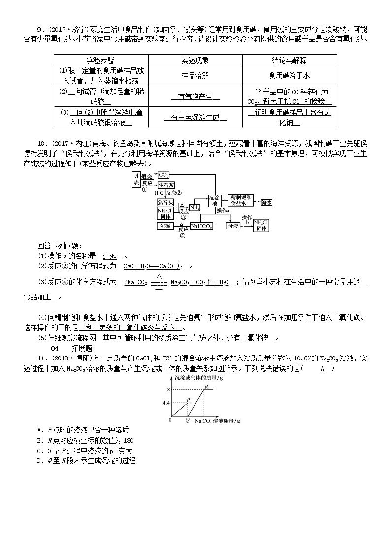 2021年鲁教版九年级化学下册第8单元 海水中的化学第3节 海水“制碱” 同步测试(含答案)03